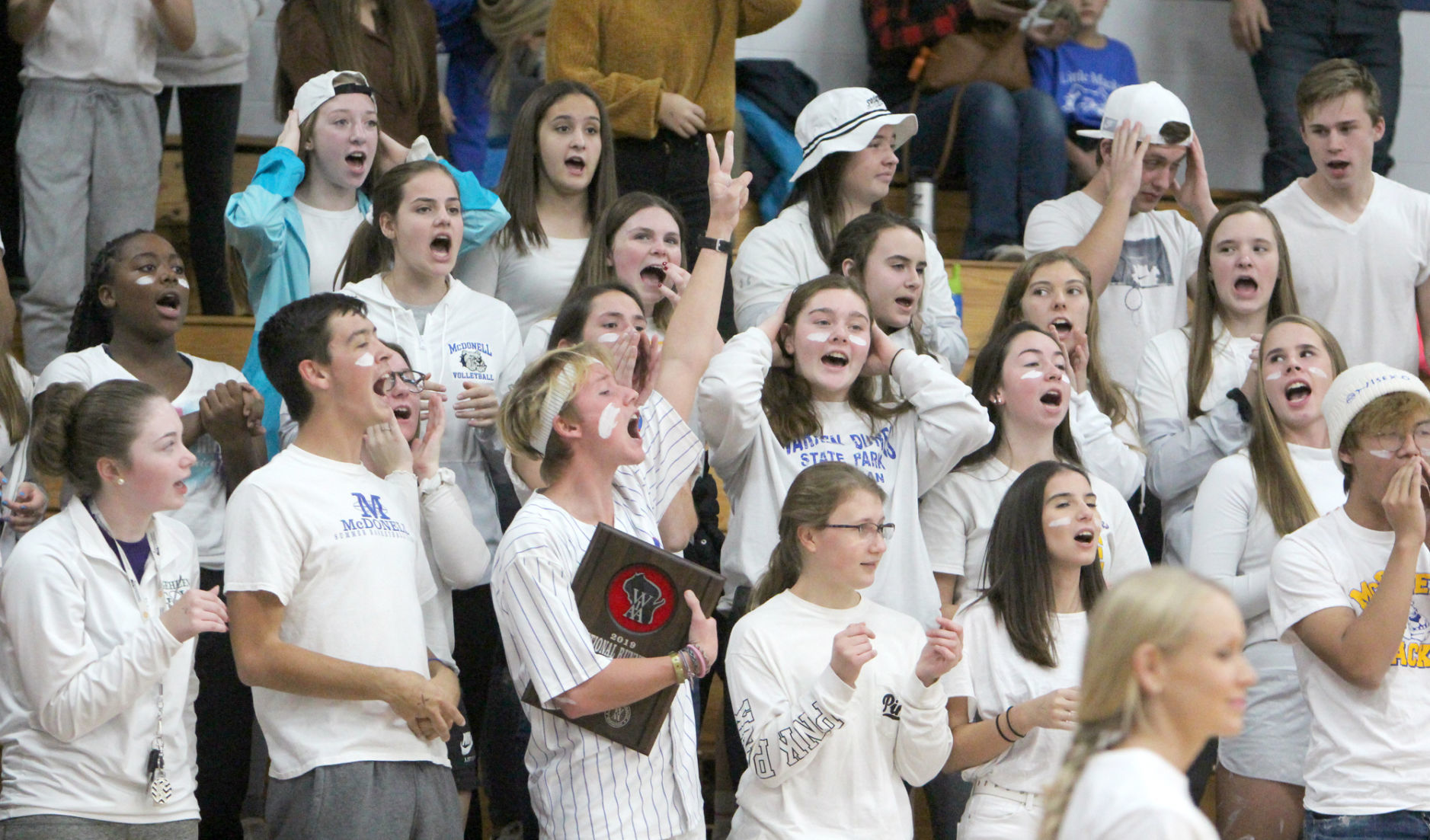 Eau Claire Immanuel Lutheran at McDonell volleyball 10-26-19